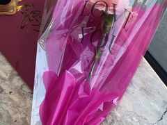 -力力渔港涉外店