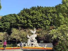 -金鸡山公园