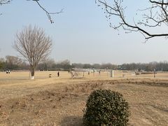 -太阳宫公园