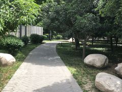 -唐城墙遗址公园