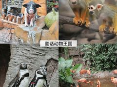 -长鹿旅游休博园
