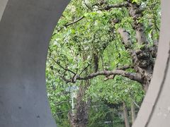 -团结湖公园