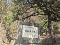 -白水寺森林公园