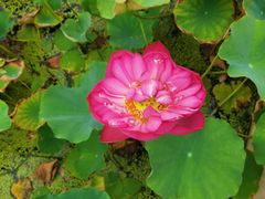 -南戴河国际娱乐中心