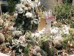 -春树下·树屋花房西餐厅(罍街AS1980店)