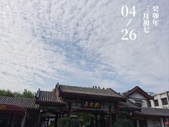 -趵突泉景区