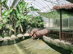 -宁波野生动物园