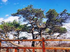 -丹东凤凰山景区