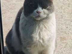 -湖畔人家•老溧阳菜馆(茅山景区外店)