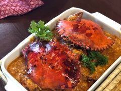 -茉莉.Red Crab