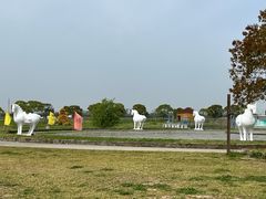 -上海都市菜园
