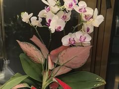 -玉林烤鸭店(垡头店)