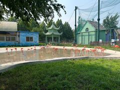 -秦皇岛野生动物园