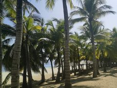 -三亚西岛海洋文化旅游区
