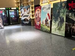 -深影国际影城(学院南路店CGS中国巨幕店)