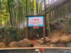 -江南天池高山汤泉城