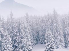 -九峰山