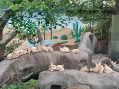 -上海野生动物园