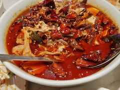 -辛香汇·锦里丨现炒川菜(中南城店)