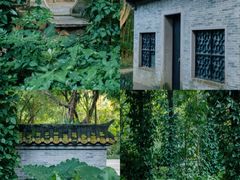 -深圳国际园林花卉博览园