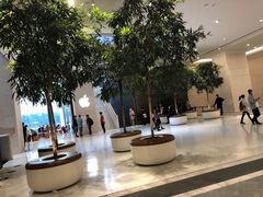 -澳门喜来登大酒店