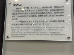 -游龙石文化科普馆