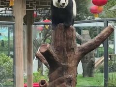 -无锡动物园·太湖欢乐园