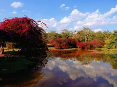 -中国科学院西双版纳热带植物园