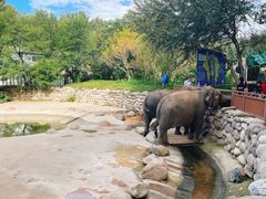 -北京野生动物园