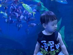 -泉城欧乐堡海洋极地世界
