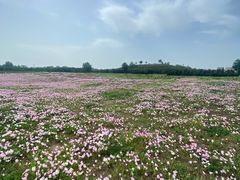 -汉长安城未央宫国家考古遗址公园