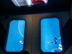 -珠海横琴国家地理探险家中心(创新方)