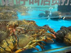 -盒马鲜生(王府广场店)