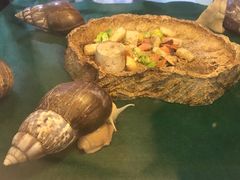 -乐宠宠物店(世纪金源店)