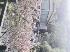 -天怡·鱼工厂(梅溪湖店)