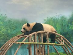 -杭州动物园
