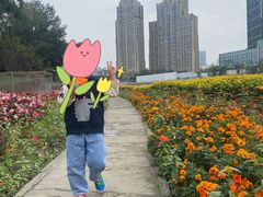 -望江楼公园