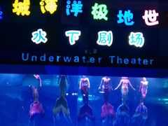 -泉城欧乐堡海洋极地世界