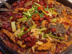 -老板恋上鱼(高新万达店)