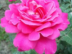 -圆明园遗址公园-藻园门售票处