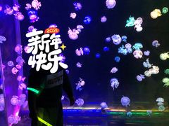 -欢乐海岸海洋奇梦馆