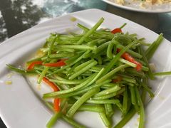 -亮河湾山庄