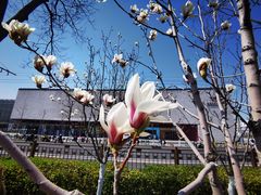 -北京稻香村(天桥乐汇百货商场店)