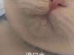 -胖哥俩肉蟹煲(世茂国际广场店)