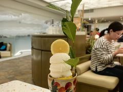 -大树餐厅(环球港店)