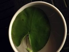 -杭州香格里拉饭店