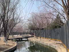 -春风习习