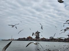 -八仙过海景区