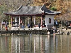 -紫霞湖公园