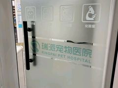 -瑞派宠物医院东莞中心医院·24H转诊·异宠(新河北路院)